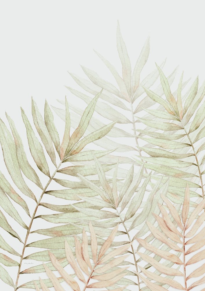 Palm Leaves I