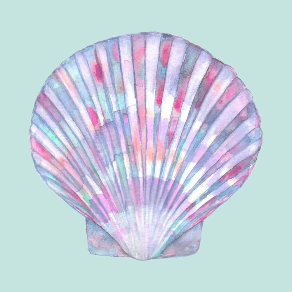Watercolor Seashell 1
