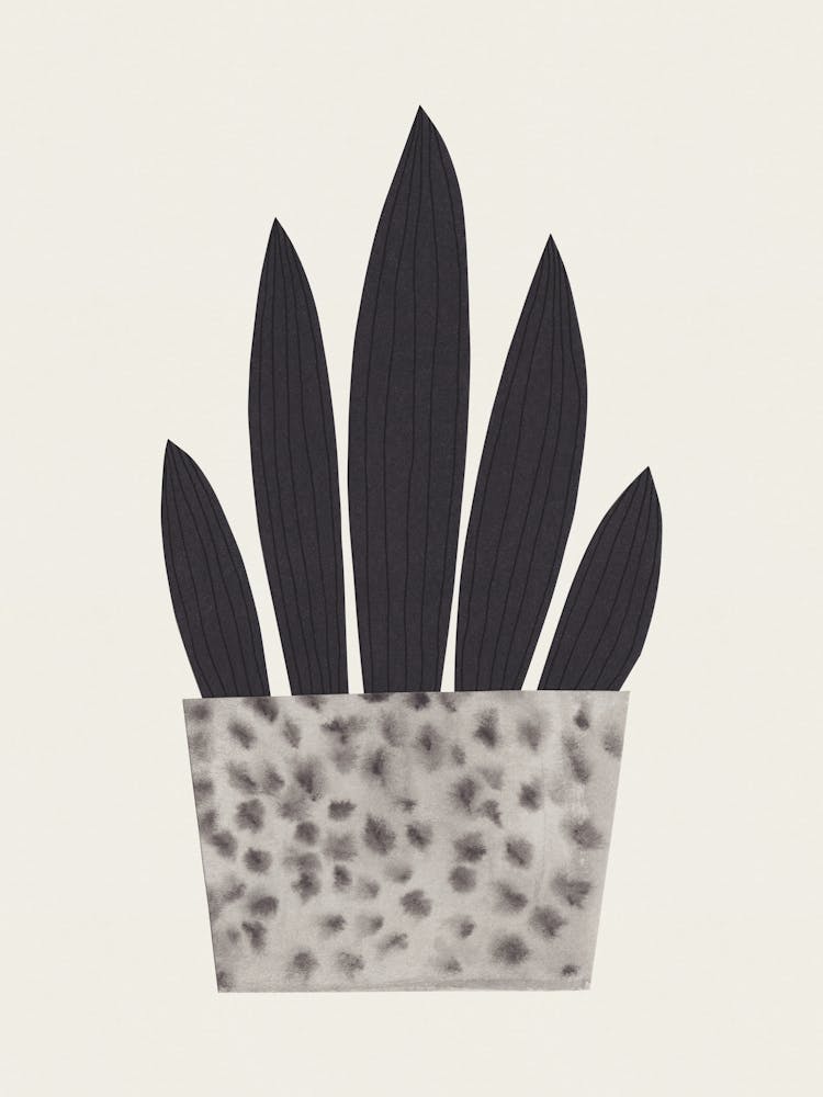 Plant In A Pot 1