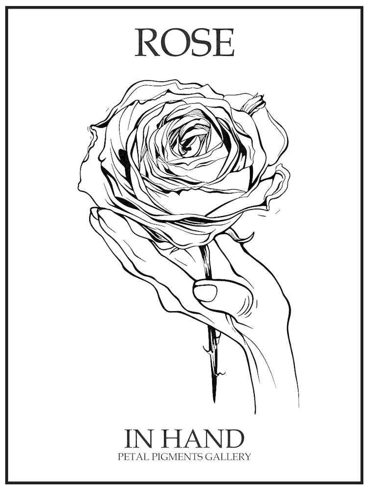 Rose In Hand Linienzeichnung 2 Poster