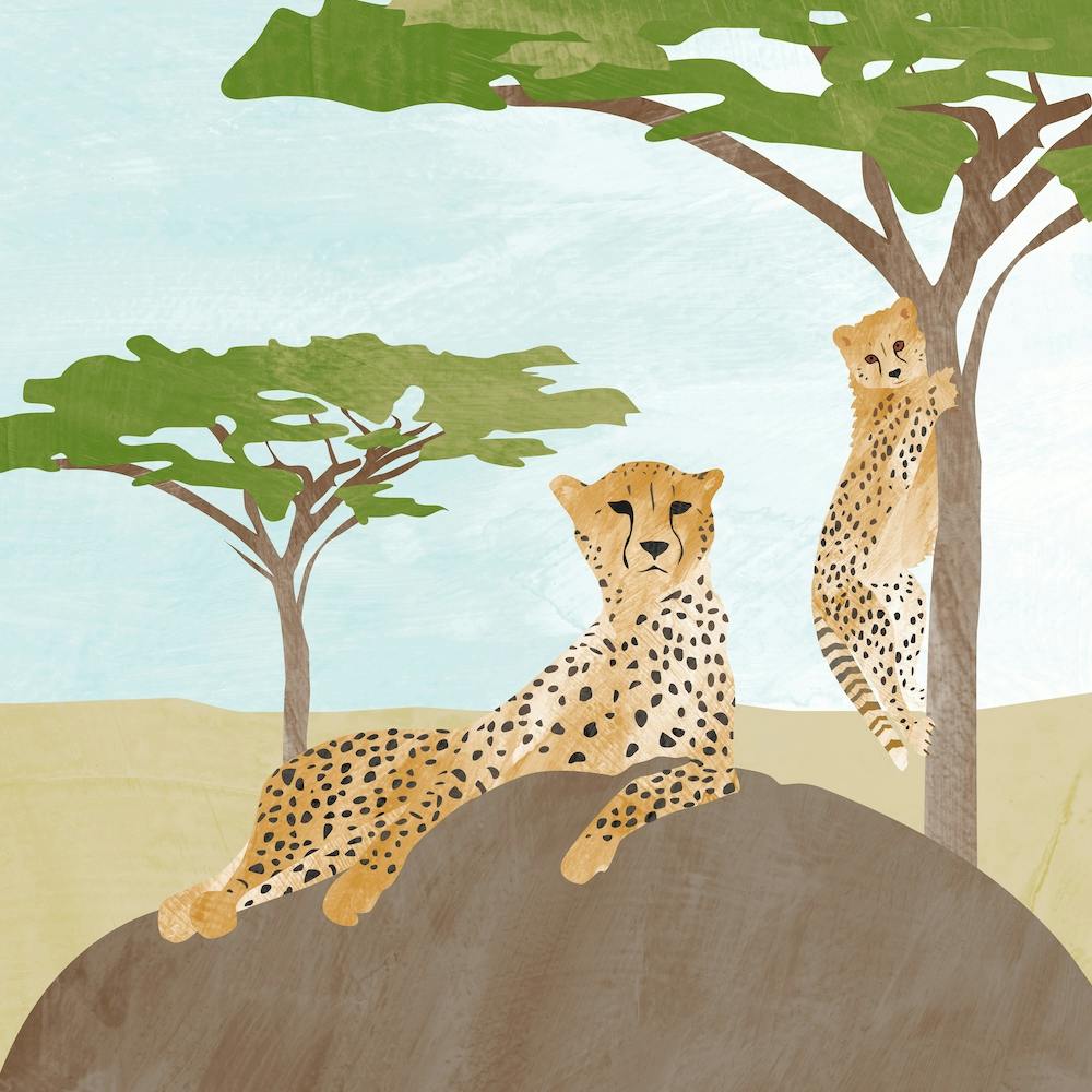 Leopard With Baby
