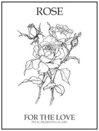Black And White Rose Line Drawing 2 Poster