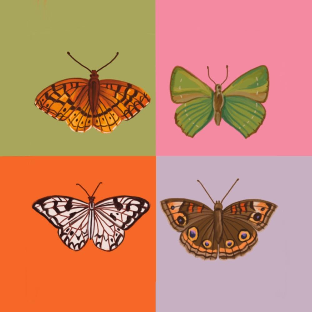 Butterflies