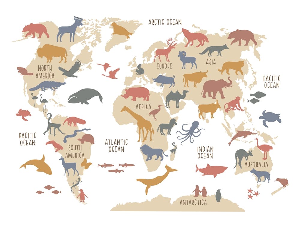 Kids World Map, Nursery Decor, Natural