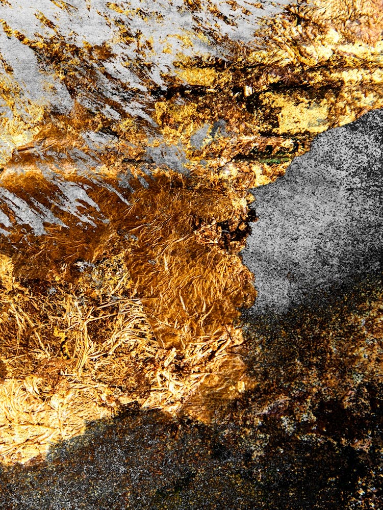 Black and Gold Abstract