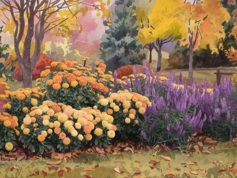 Fall Blooms Garden - Vibrant Chrysanthemum & Purple Sage