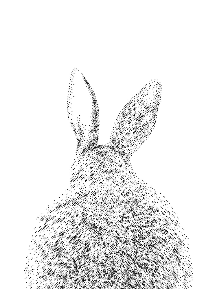 Bunny Tail Animal Print 1