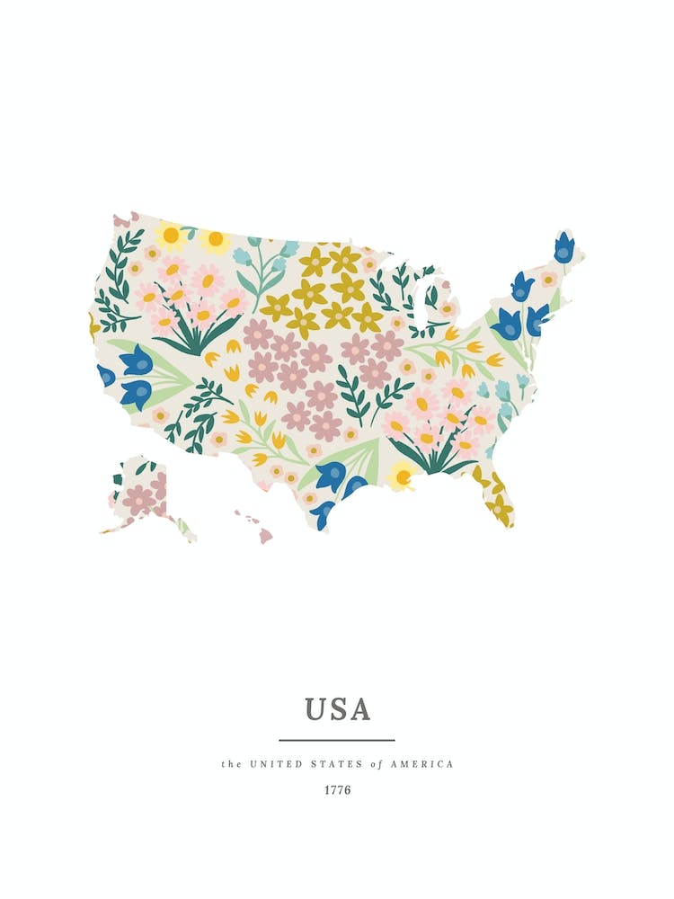 Usa Map | Wildflower Mix