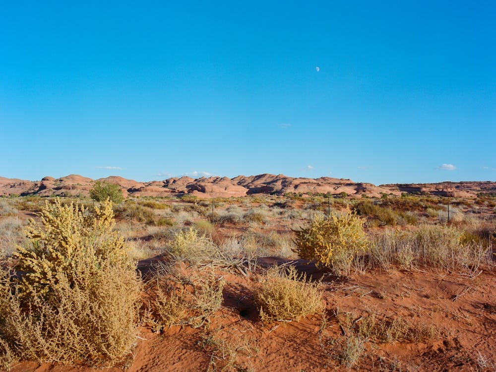 Navajo Nation VI on Film