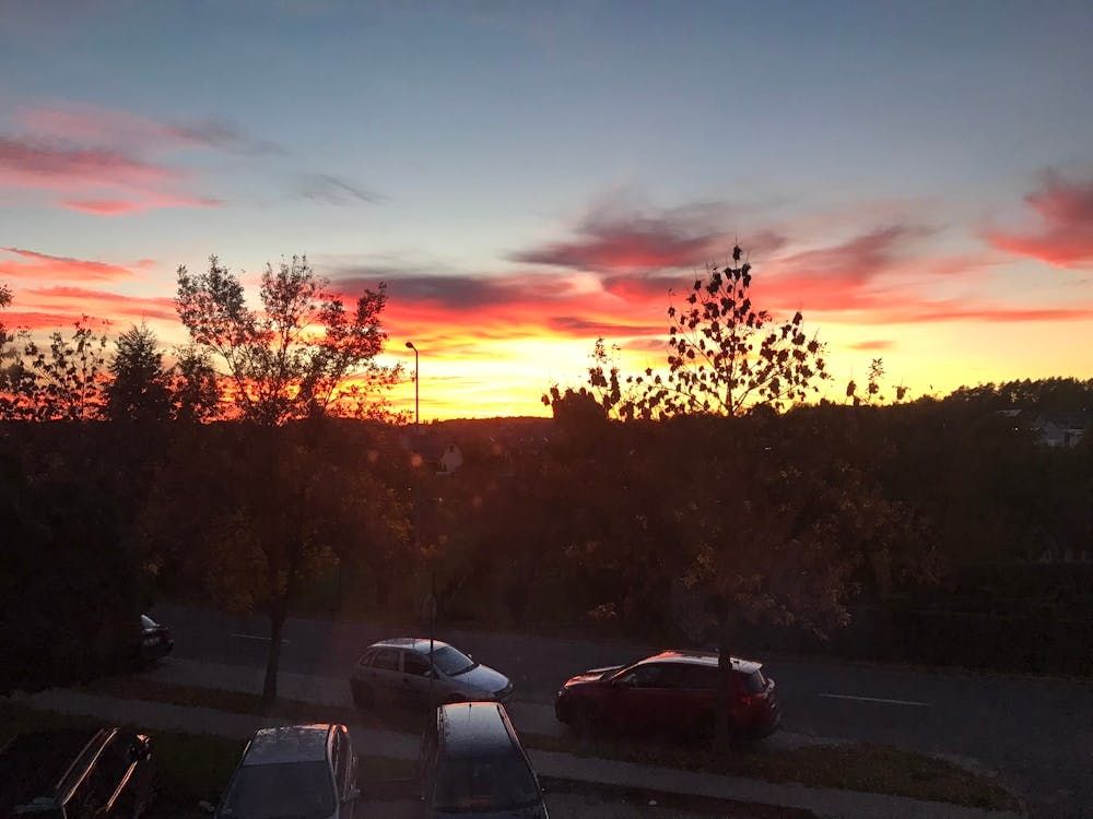 11723389 2db5 40ec 8b23 3ff60802aab0