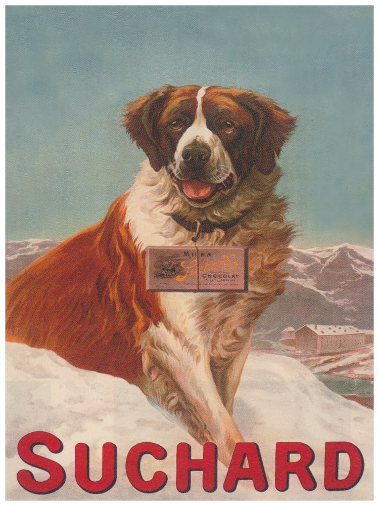 St Bernard Dog Vintage Poster