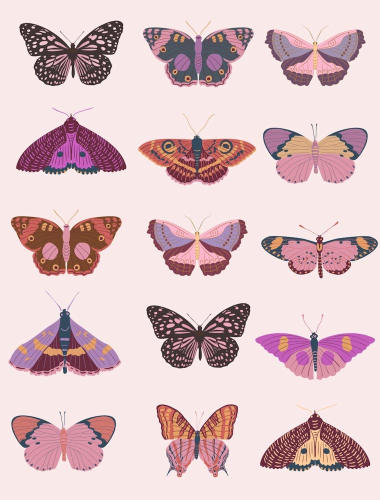 Pink Butterflies