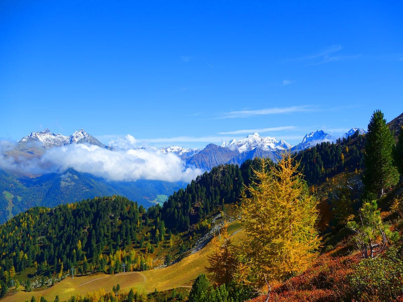 Alpine Landscape