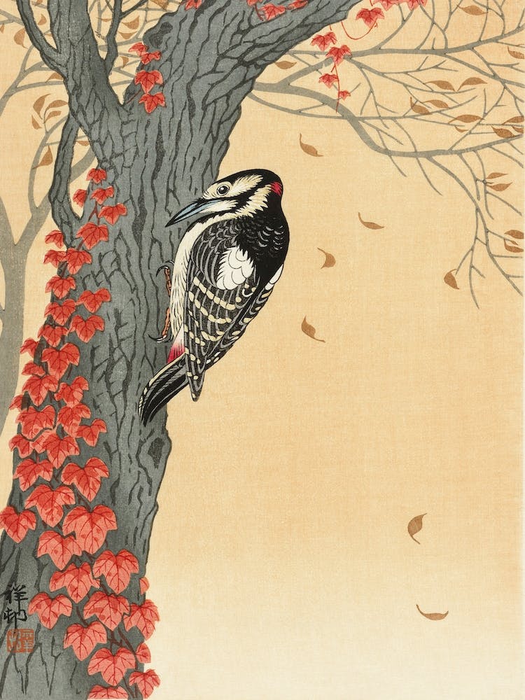 Great Spotted Woodpecker In Tree With Red Ivy, Ohara Koson
