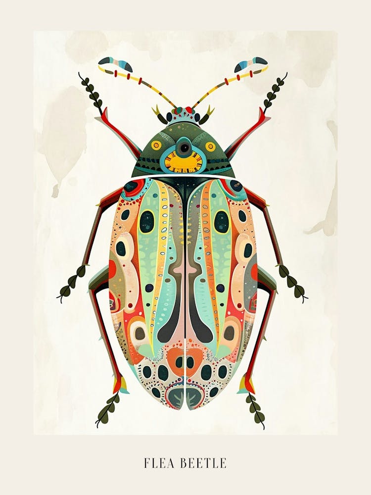 Colourful Insect Illustration Flea Beetle 7 Poster
