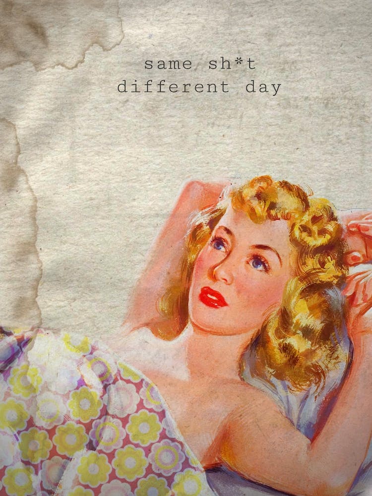 Same Shit Different Day Humor
