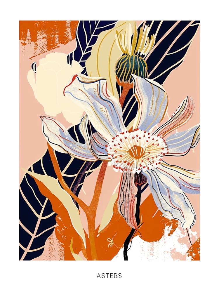 Colourful Flower Illustration Poster Asters 2