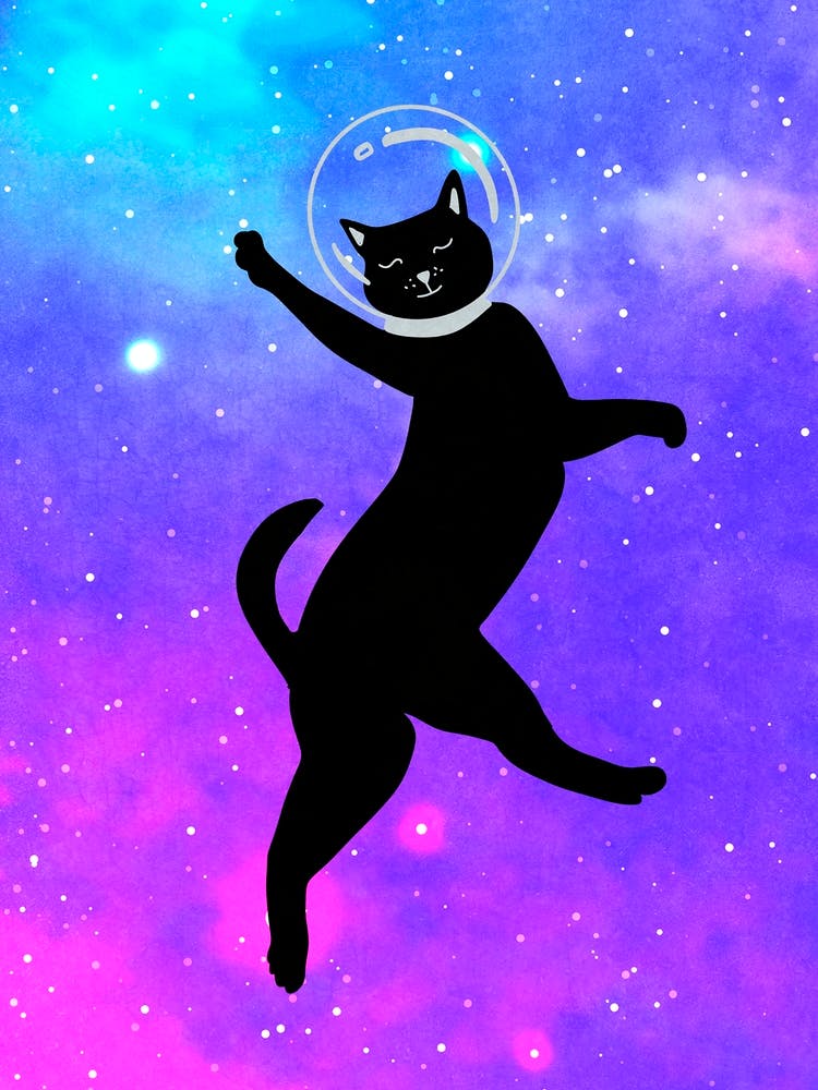 Glückliche Weltraumkatze