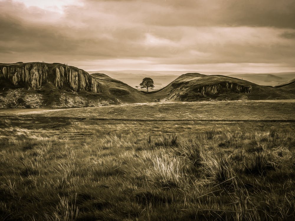 Sycamore Gap Hadrians Wall Landscape