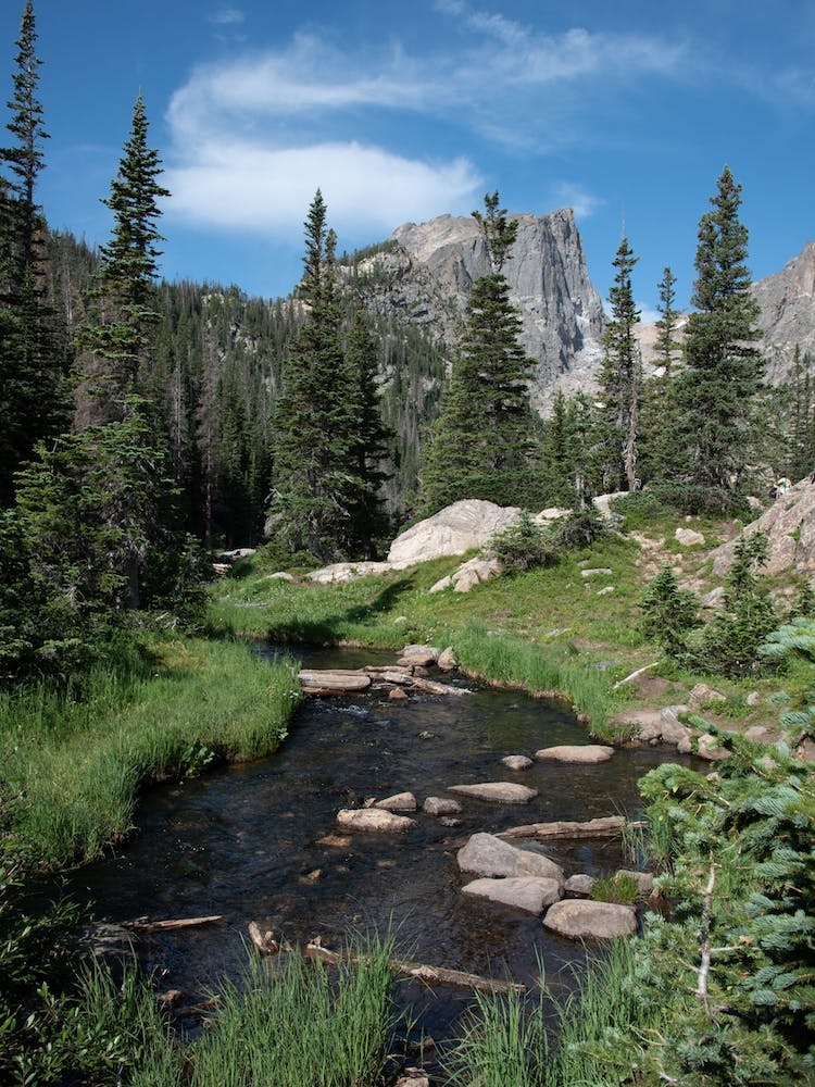 Mountain Stream - Mountain Stream Stock Videos & Royalty-Free Footage