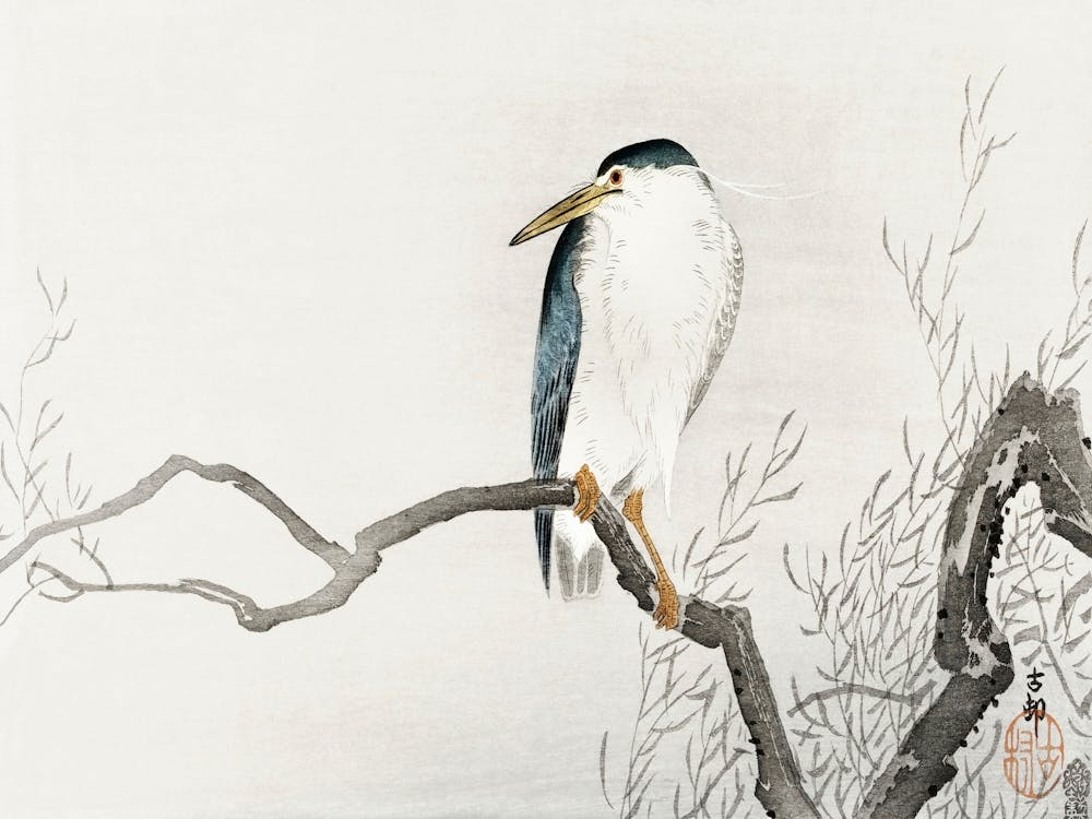 Quack On Erratic Branch (1900 1910), Ohara Koson