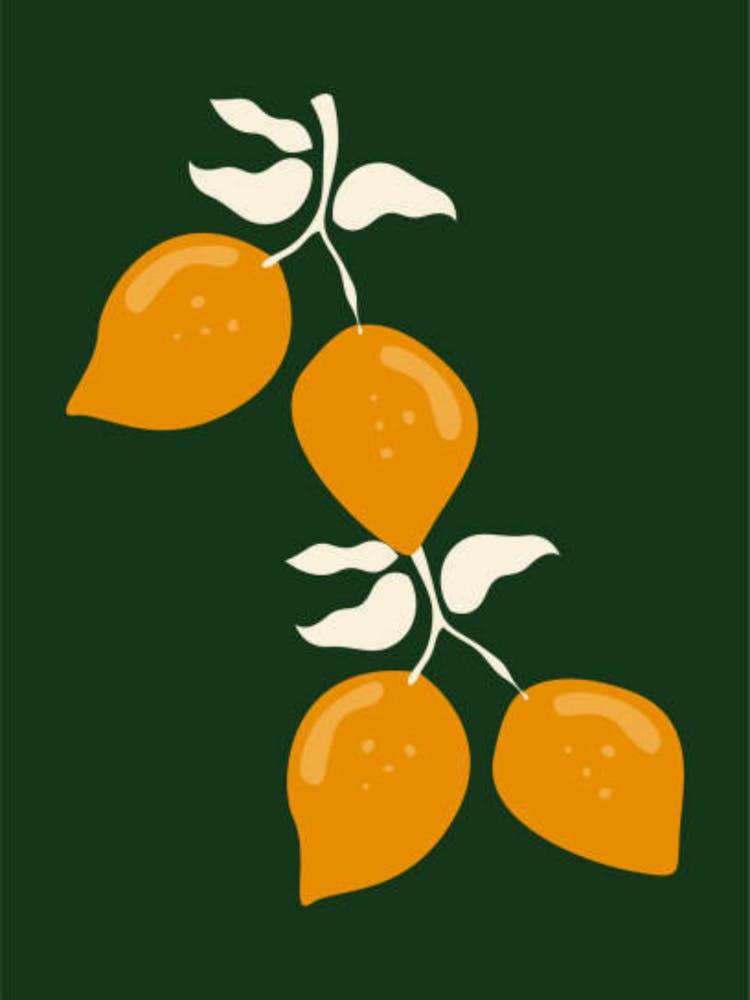 Three Oranges On A Branch