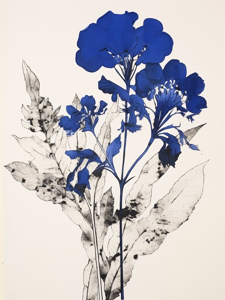 Botanique Bleue Bluebonnet 1