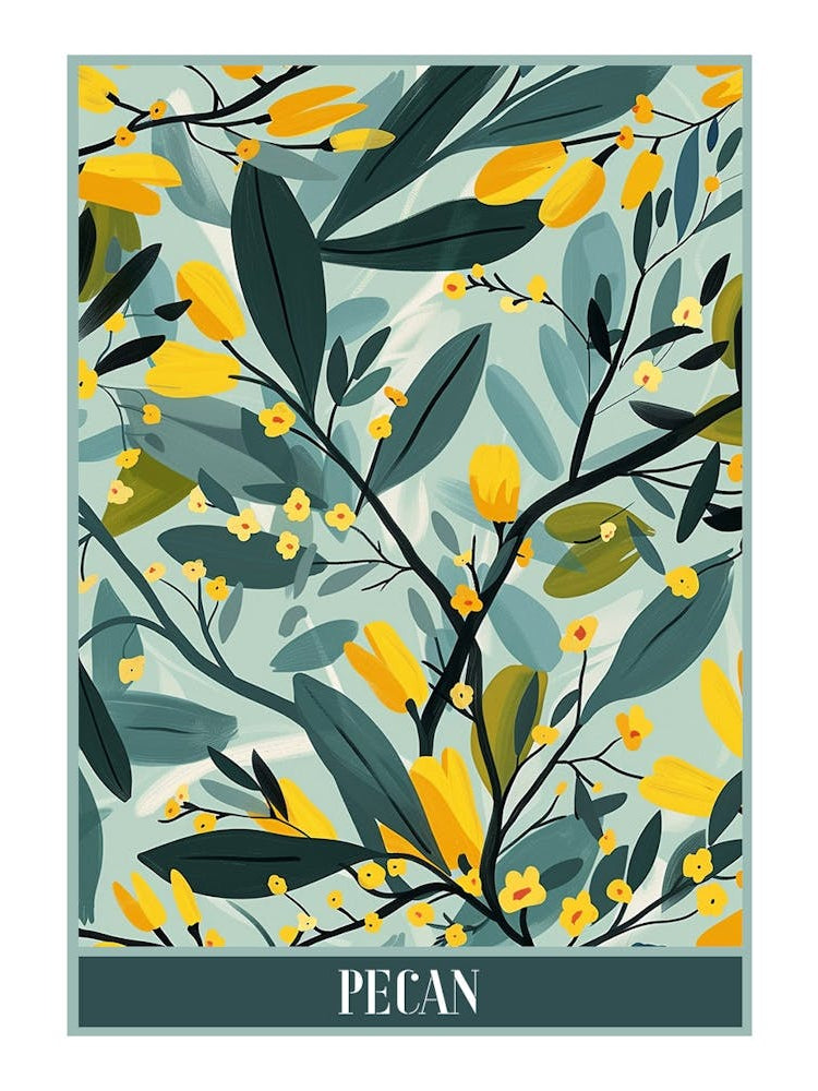 Pecan Tree Flat Illustration 1 Poster