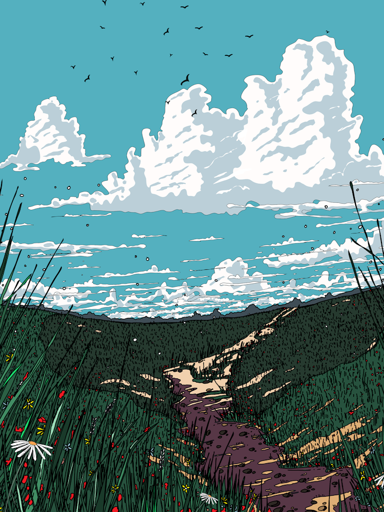Road To the Meadow