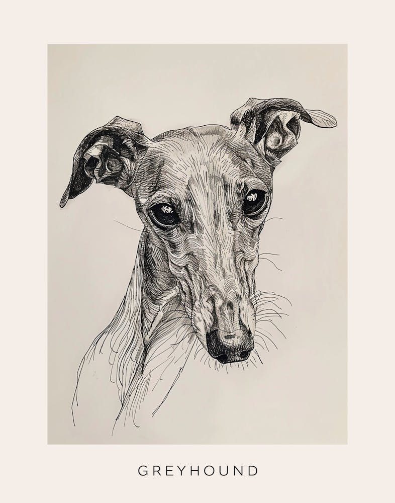 Greyhound Line Sketch 1 Poster