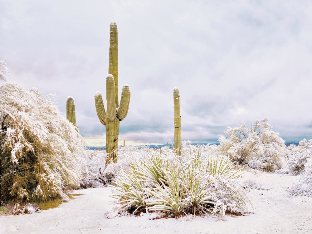 Arizona Winter Desert Snow