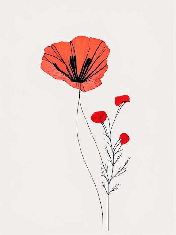 Poppy Floral Minimal Line Drawing 2 Flower