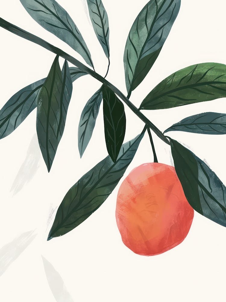 Lychee Close Up Illustration 1