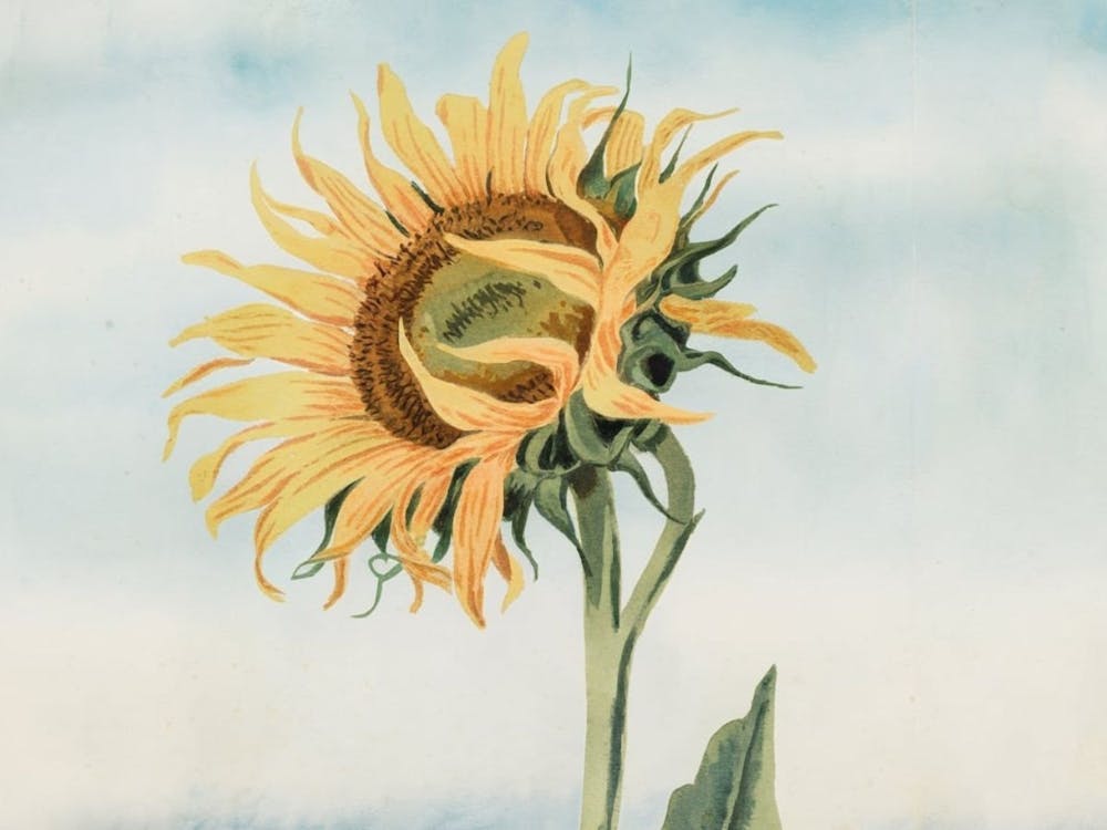 Sunflower Painting, Watercolor Art