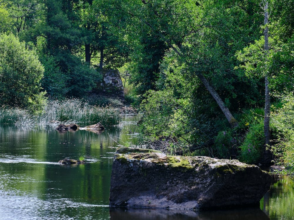 Zweden23 08 21706+Gpl20974