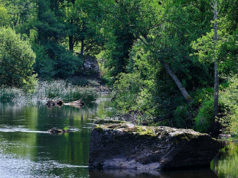 Zweden23 08 21706+Gpl20974