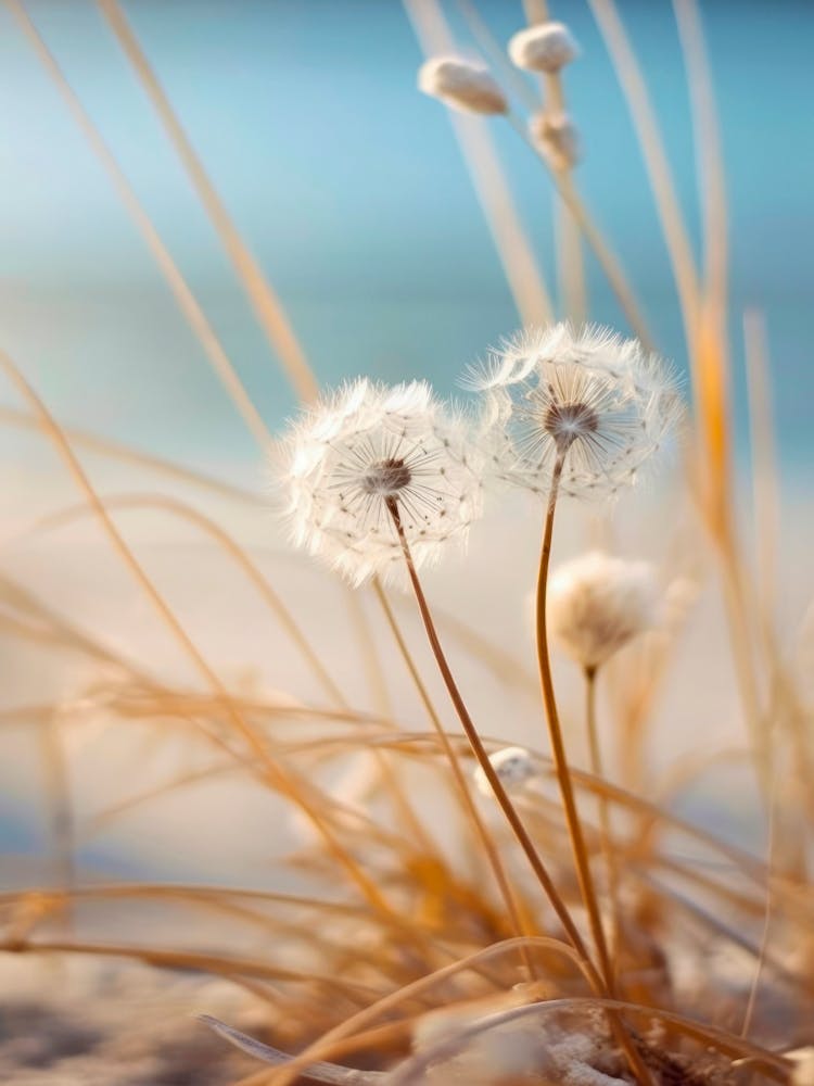 Beach Impression No 4