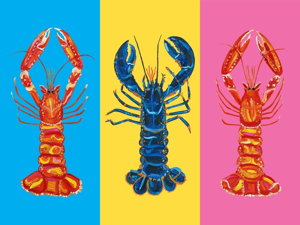 Lobster Pop Art