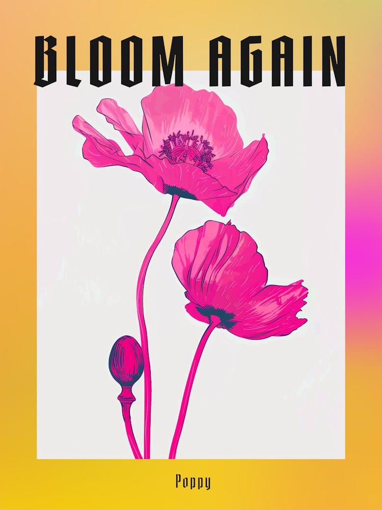 Hot Pink Poppy 2 Poster