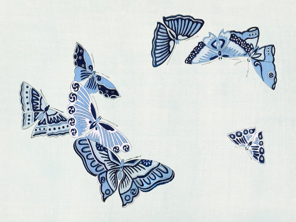 Birds From Momoyogusa –Flowers Of A Hundred Generations, Kamisaka Sekka (21)