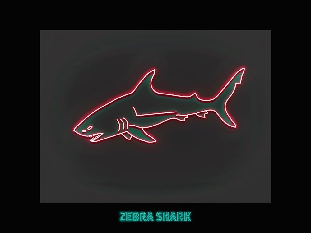 Neon Zebra Shark 4 Poster