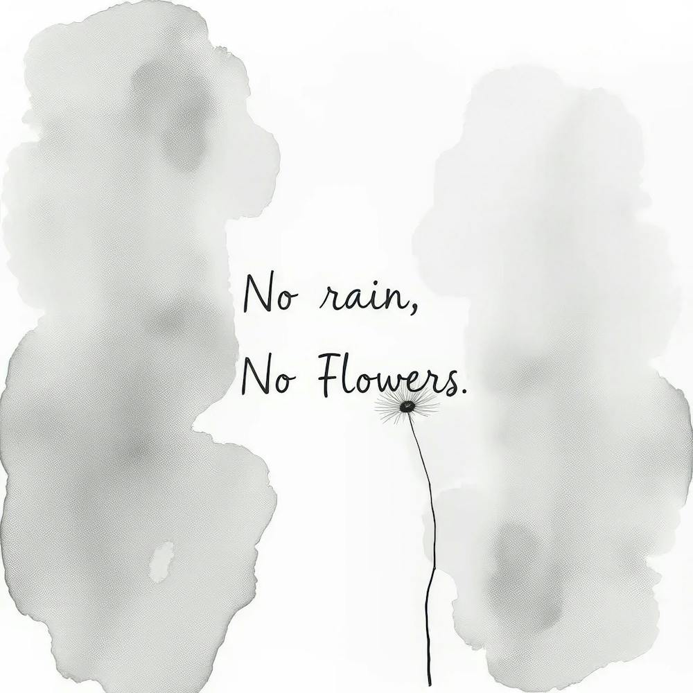 No Rain No Flowers 2