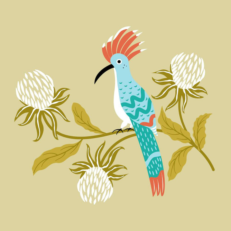 Exotic Bird