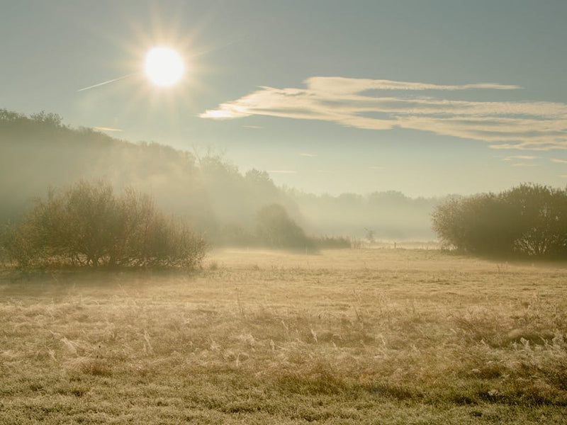 Morning Sunrise looks like a Painting