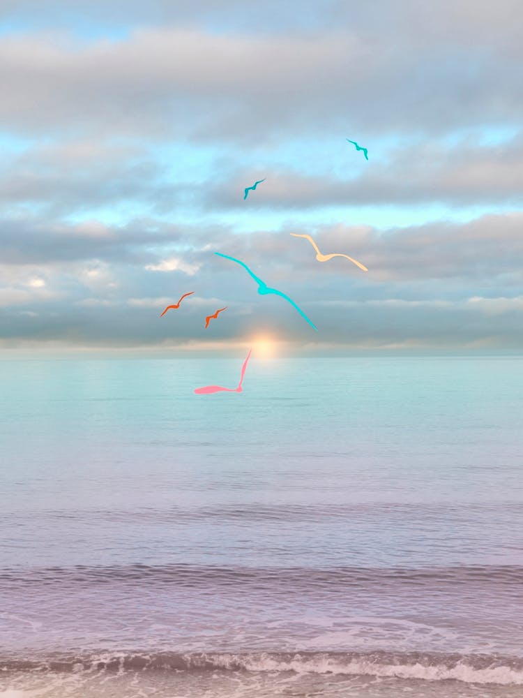 Colorful Seagulls Flying