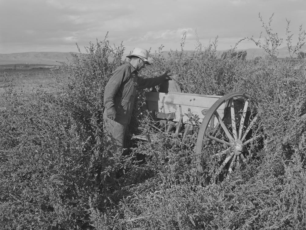 Farmer Who Has No Shed Facilities For Storing Machinery, Yakima County, Washington, He Rents From Indians By