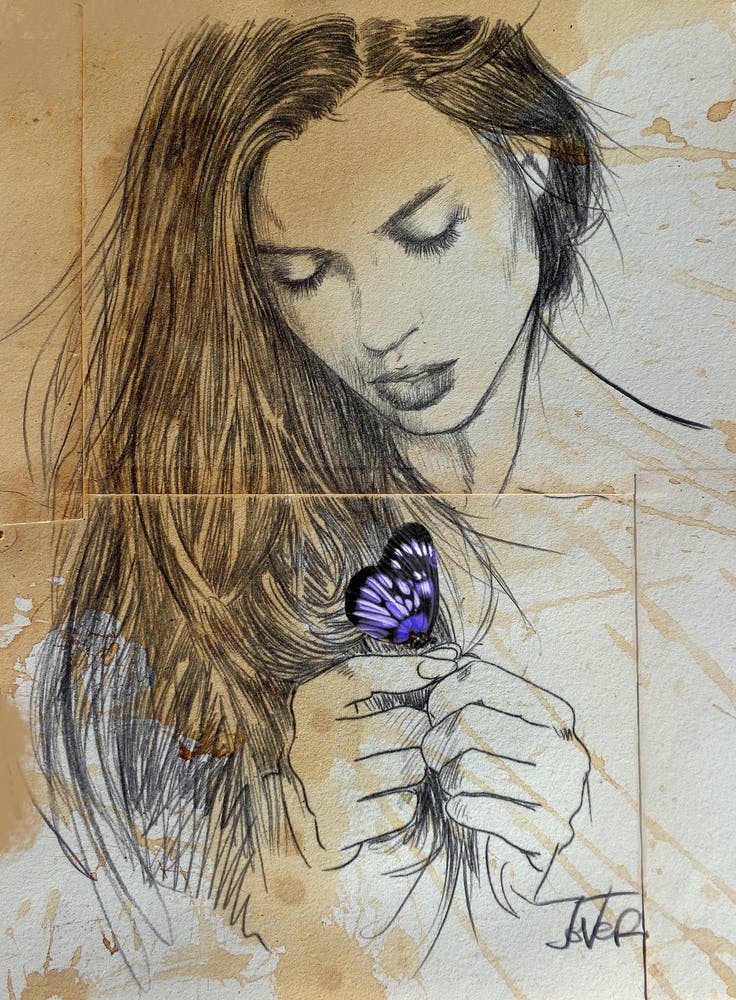 Blue Butterfly