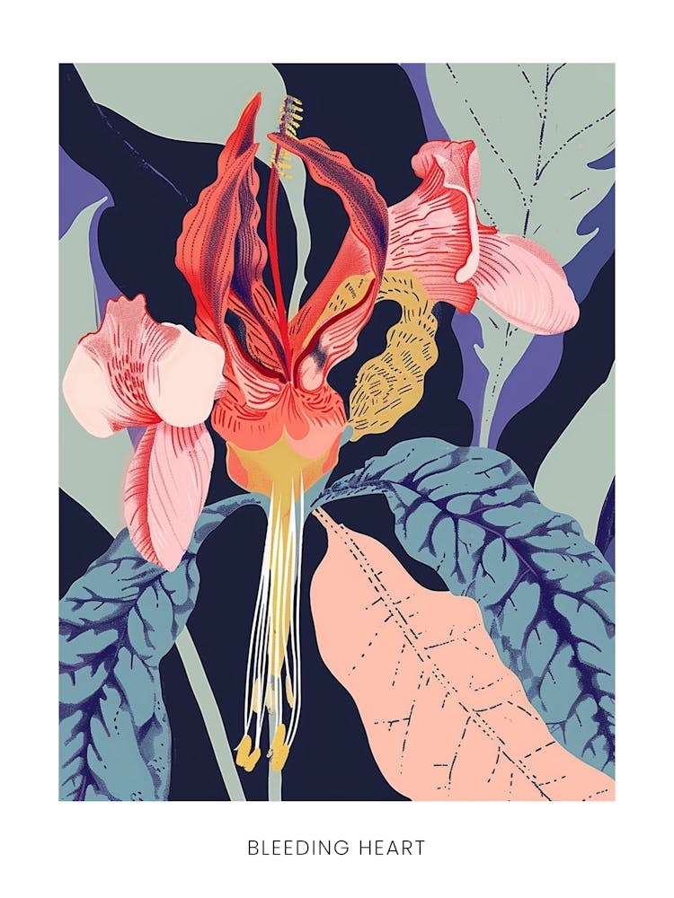 Colourful Flower Illustration Poster Bleeding Heart 7