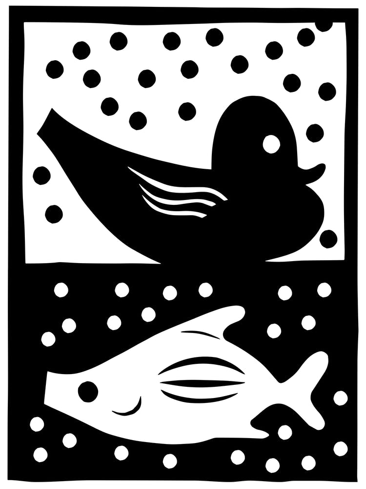 Duck And Fish With Bubbles