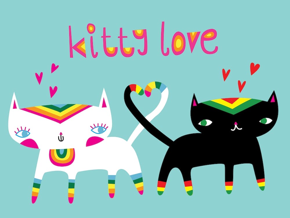 Kitty Love